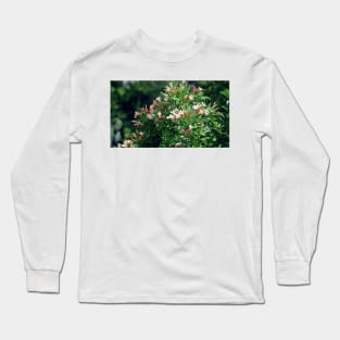 Flowers 3 Long Sleeve T-Shirt